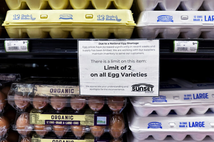Egg prices continue to hit records as Easter and Passover approach, but some relief may be coming